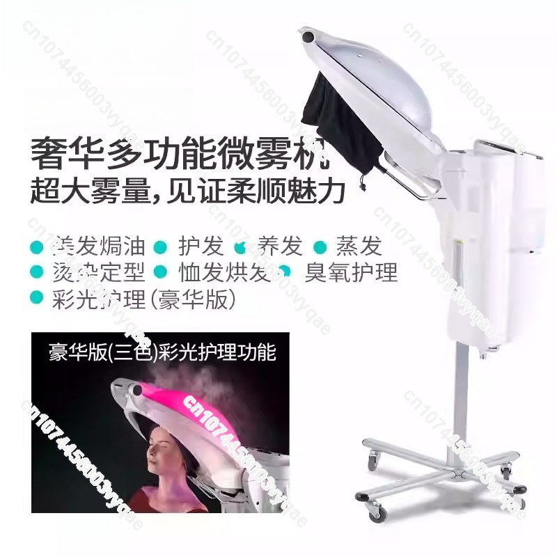 Oil Treatment Ozone Micro Mist - Hair Care Oil 评论和价格